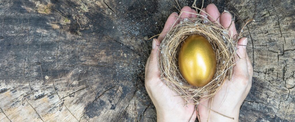 income insurance nest egg